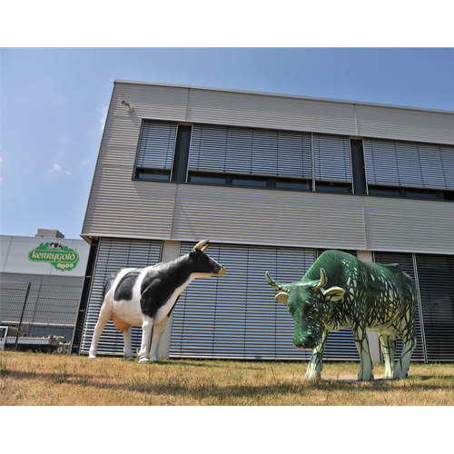 Kühe aus Plastik stehen vor Gebäude